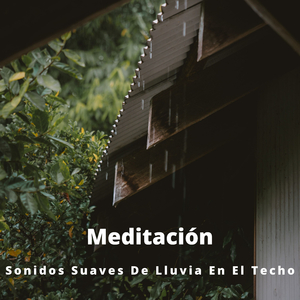 Sonidos De Lluvia Para Dormir