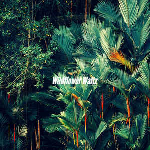 Background for Iced Double Americano