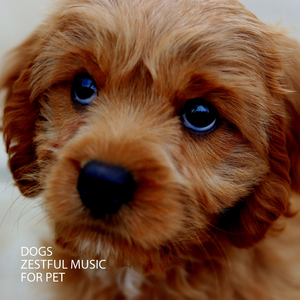 Healthsome Sound For Pet