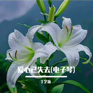 爱心已失去(电子琴)