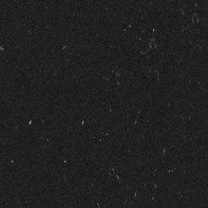 {此曲目已被封印}