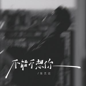 不能不想你 (DJ九零版)