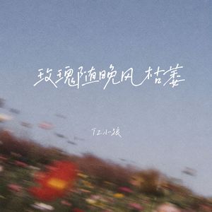 玫瑰随晚风枯萎