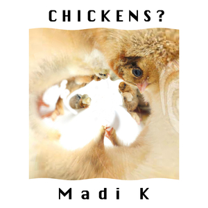 Chickens?
