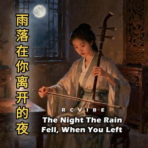 雨落在你离开的夜,The Night The Rain Fell, When You Left