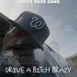 DRIVE A BITCH BRAZY