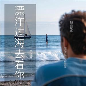 漂洋过海去看你 (现场)