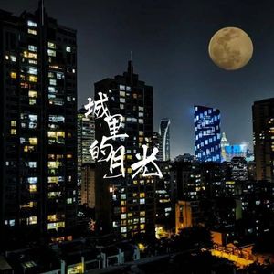城里的月光