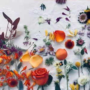 《夜海晚风抚颜之境》