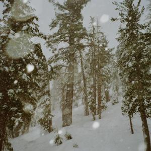 Snow Fall