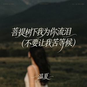 菩提树下我为你流泪（不要让我苦等候）