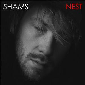 Nest 5am Dub (feat. Murphy Maxwell) (Dub) (Dub)