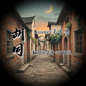 胡同(cover：毛不易）