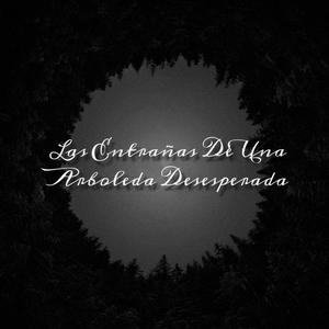 Viacrucis De Un Alma Sin Rumbo