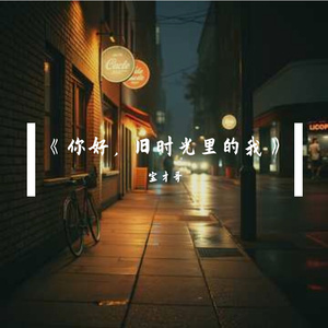 我瞒着整个青春喜欢你