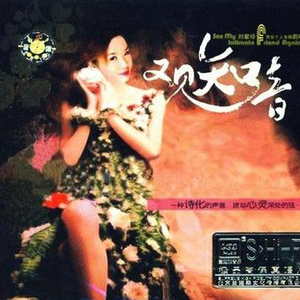 给我一个不伤心的理由