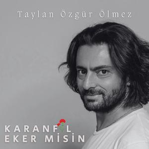 Karanfil Eker Misin