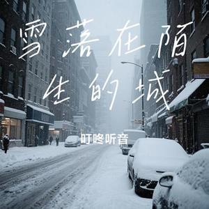 雪落在陌生的城 (Cover 李林夕)
