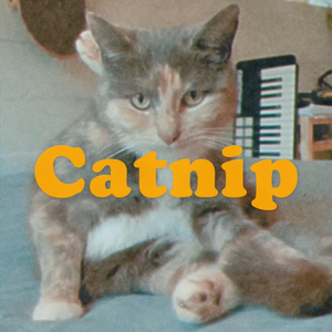 Catnip