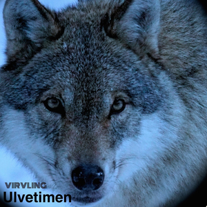 Ulvetimen (Single remix)