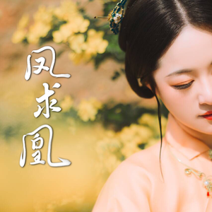 【古筝版】凤求凰