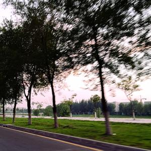 야해(ya)（翻自 方容国）