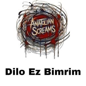 Dilo Ez Bimrim