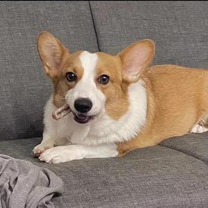 深夜港湾（DJ咚鼓版）