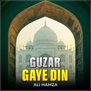 Guzar Gaye Din