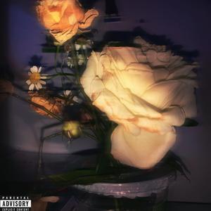 想你好几遍（prod.Crystal2R4M）