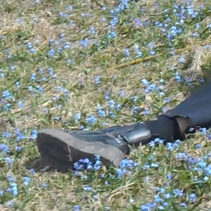 "Могила" (стихи падшего писателя)