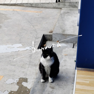 ฝนตกในใจจนไหลท่วมตา