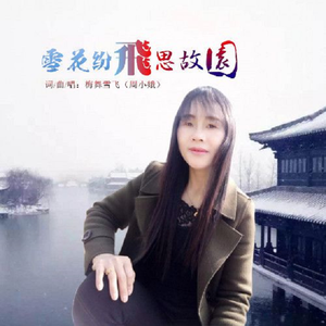 梅舞雪飞 - 雪花纷飞思故园