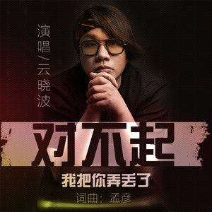 对不起我把你弄丢了