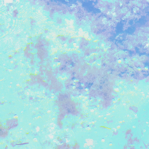 即使我的柔软所剩无几