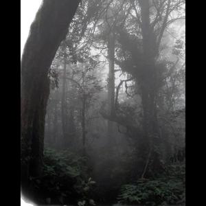 the scars just come back