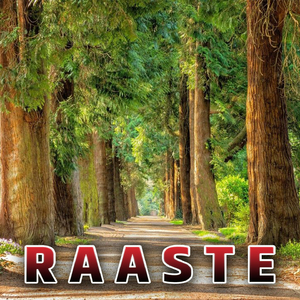 Raaste
