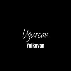 Yelkovan