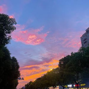 太聪明 (Cover 陈绮贞)