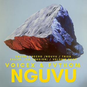 Nguvu