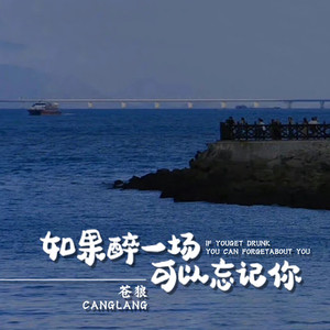 如果醉一场可以忘记你