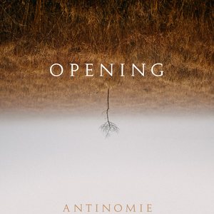 Opening