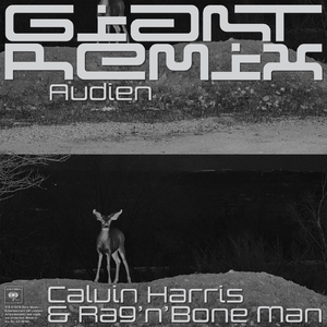 Giant (Audien Extended Remix)
