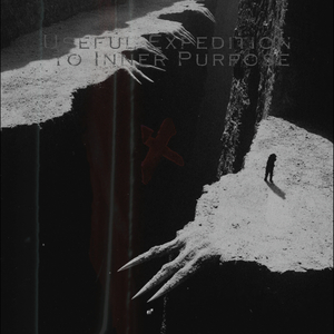 Useful Expedition to Inner Purpose