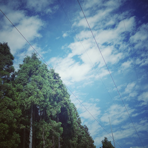 玻璃（cover）