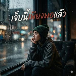เจ็บนี้เพียงพอแล้ว