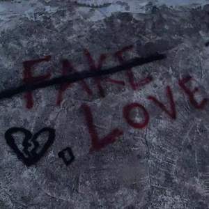 fake luv....（Prod. By <3 beatz）