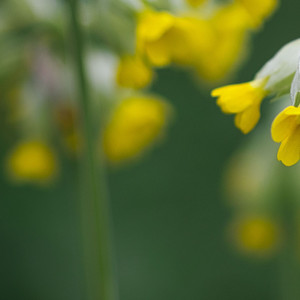 相见的我们（5）
