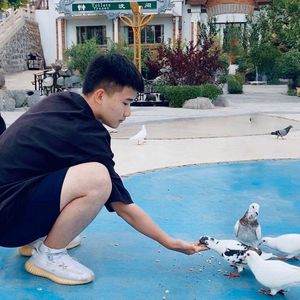 散落在人间的雨