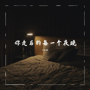 你走后的每一个夜晚 伴奏